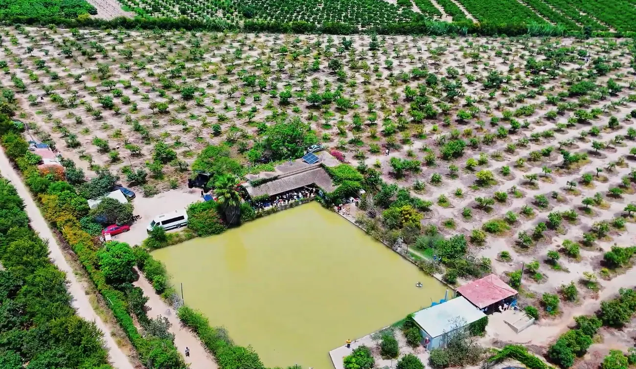 Vista aérea de los reservorios y el cultivo tecnificado en Huaral