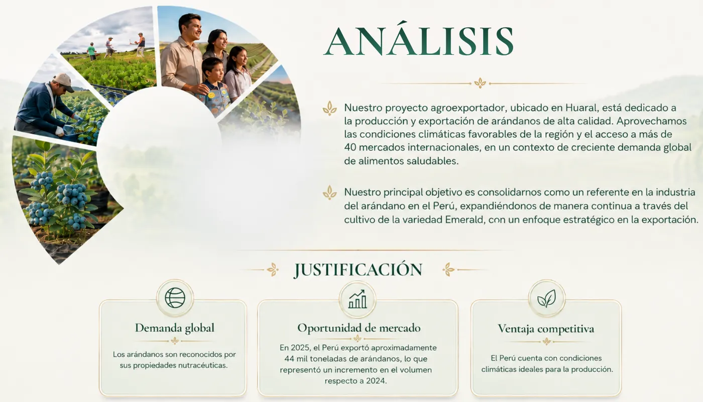 Análisis del proyecto agroexportador de arándanos