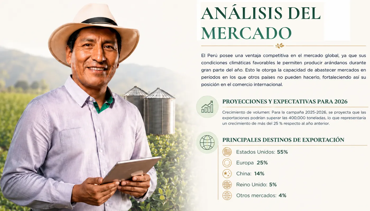 Análisis del mercado internacional del arándano
