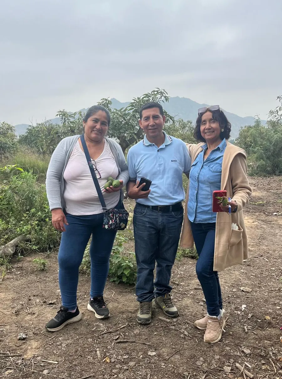 Inversionistas en el campo de cultivo